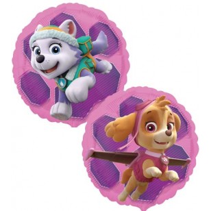 Paw Patrol Skye & Everest Balloon